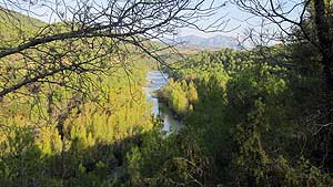 rio gallego